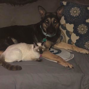 Meet your Posher, Kellie